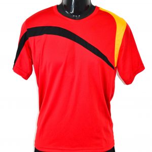 Polera Dryfit Hombre Cuello Redondo Colegio Alemán