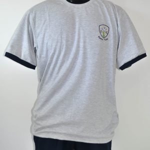 Polera Buzo Colegio Inmaculada