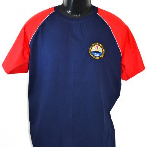 Polera Buzo Manga Corta Colegio Germania